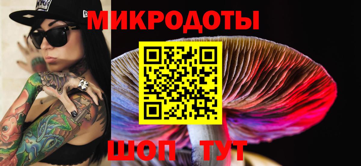 Аргун  Псилоцибиновые грибы ЛСД  Вход с VPN 