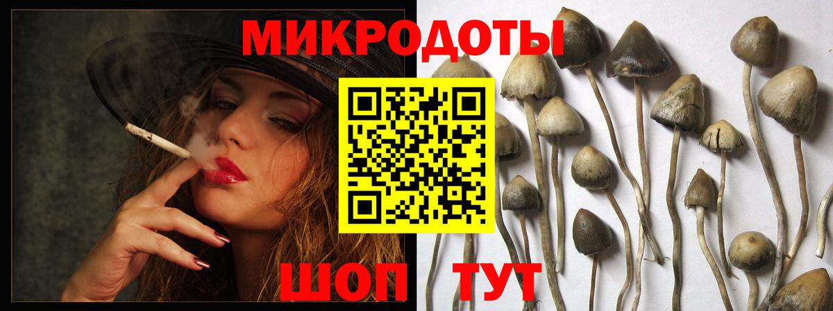 Галлюциногенные грибы Cubensis Аргун